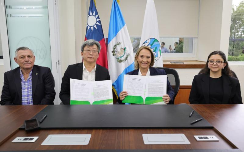 Bambú abre nuevas oportunidades para recuperar suelos degradados
