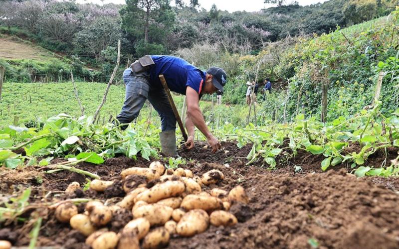 Crédito que impulsa a pequeños y medianos productores