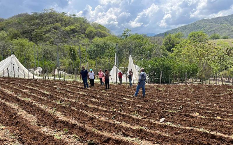 En Zacapa supervisan parcela demostrativa del Programa Suelos y Agua para el Futuro