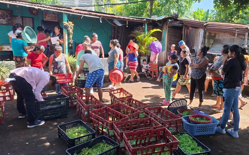 Entrega de pilones y capacitación impulsan los huertos familiares en Escuintla
