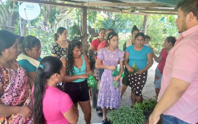 Familias rurales de Petén reciben más de 170 mil pilones de hortalizas