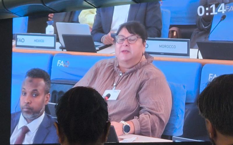 Guatemala propone unir desarrollo pesquero y conservación de los ecosistemas marinos