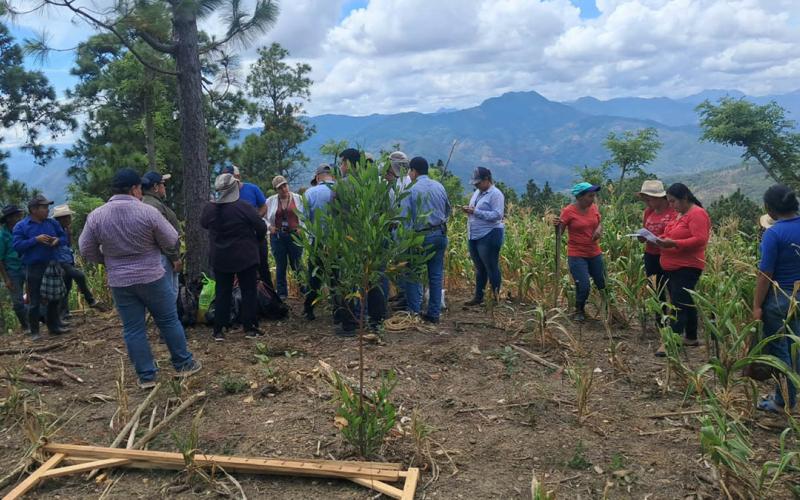 Implementan programa Suelos y Agua para el Futuro en Zacapa