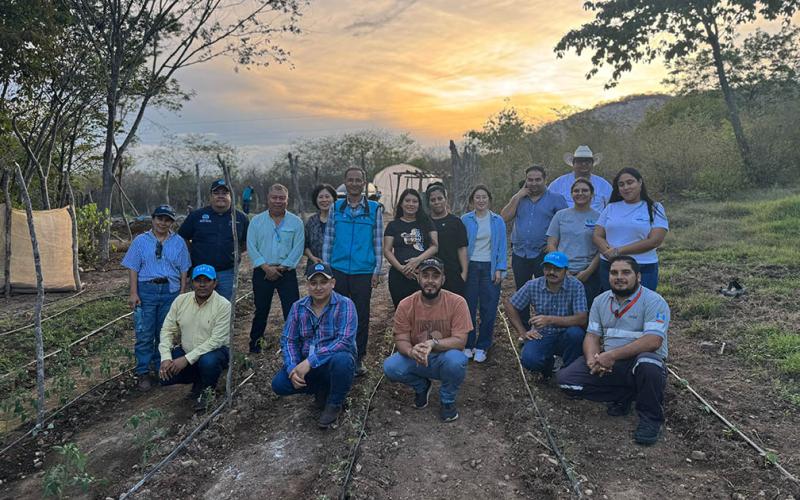 Impulsan el cultivo de hortalizas en comunidades de Zacapa