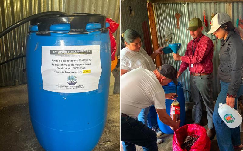 Impulsan la producción agrícola sostenible mediante elaboración de biofermentos