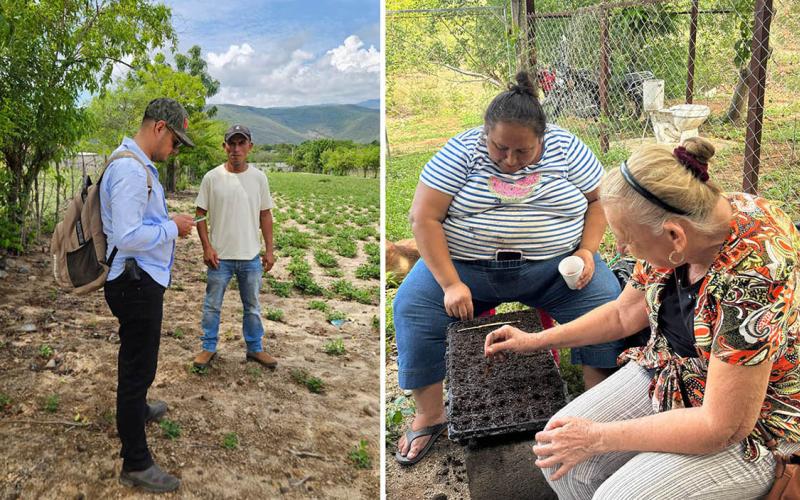 Impulsan registro de agricultores y siembra de hortalizas para fortalecer la producción en Zacapa