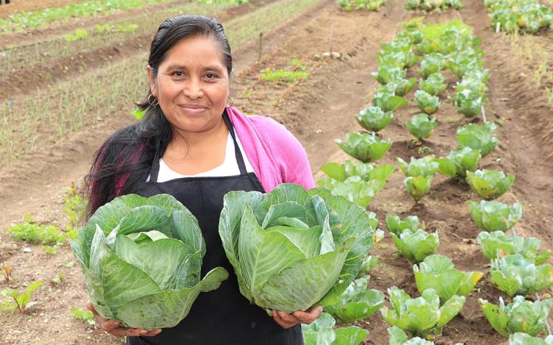 MAGA reconoce labor de los agricultores en el Día Mundial de la Agricultura