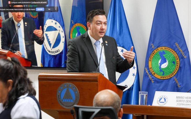 Director del Instituto Guatemalteco de Migración en PARLACEN