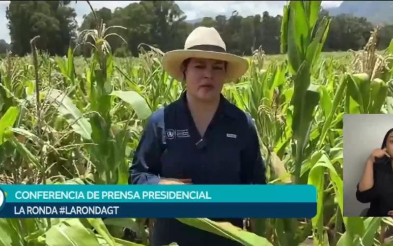 Presentan acciones para fortalecer producción agrícola ante desafíos climáticos