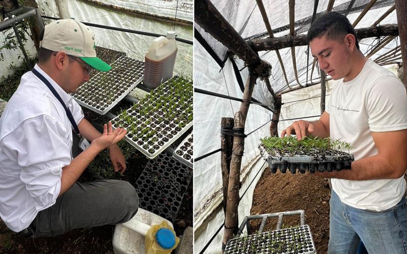 Producen pilones de cinco especies hortícolas para consumo familiar en Jalapa