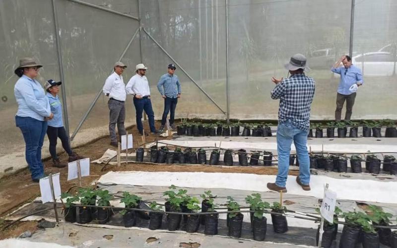 Promueven alianzas para impulsar la sostenibilidad e innovación en la educación agrícola