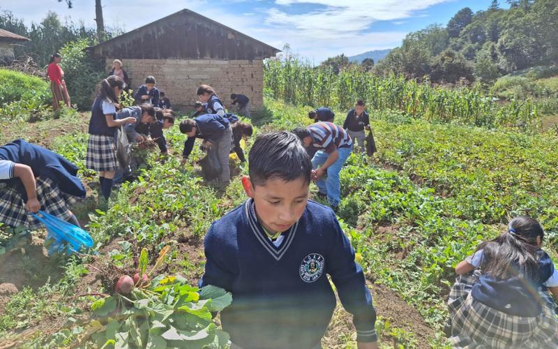 Promueven la educación alimentaria y el cultivo de hortalizas en escuela de San Marcos