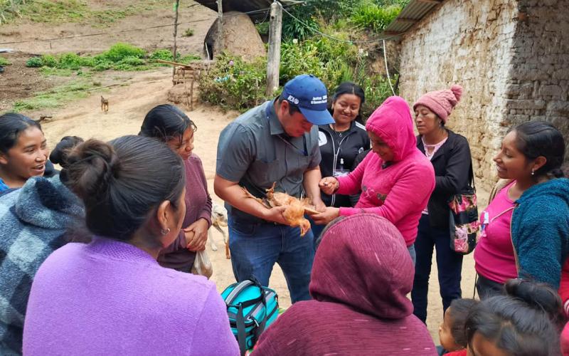 Protegen la producción de aves de traspatio en Jalapa