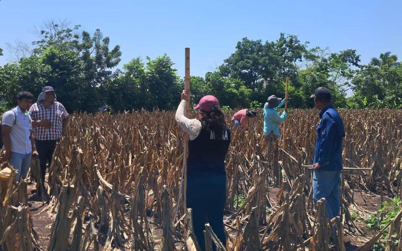 Replican componente del programa Suelos y Agua para el Futuro en Suchitepéquez