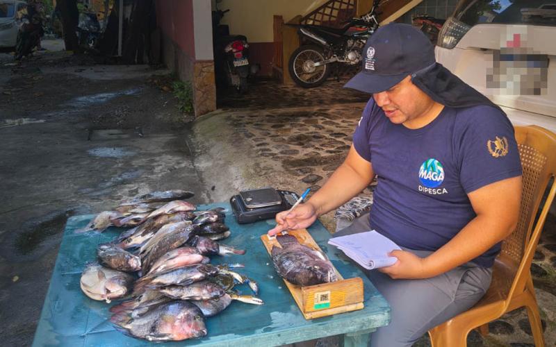 Sexta pesca científica aporta datos sobre especies capturadas en Río Dulce