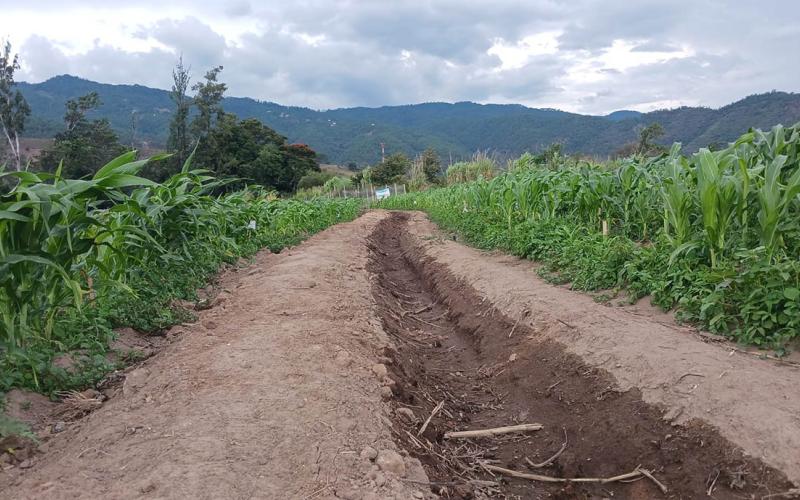 Sistema Keyline favorece el aprovechamiento de agua de lluvia en parcela de San Jerónimo