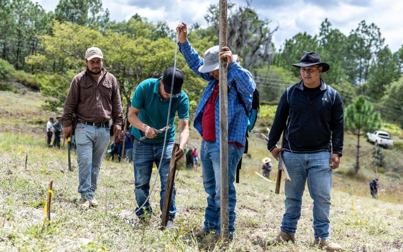 Técnicos aplican sistema Keyline en parcela de Huehuetenango