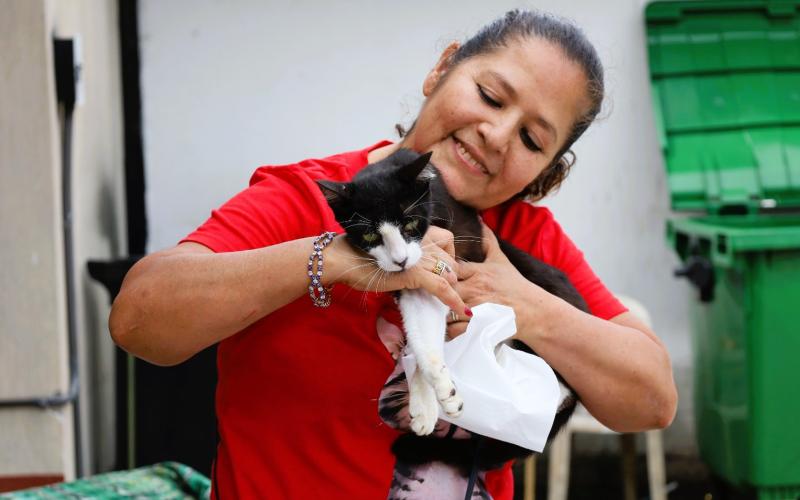 UBA realiza jornada de castración de gatos