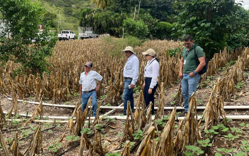 Verifican instalación de sistemas de riego tecnificado en San José La Arada