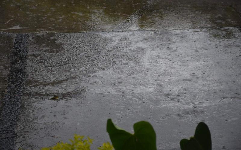 Mañana cálida y lluvias con actividad eléctrica por la tarde se prevén para este 4 de septiembre