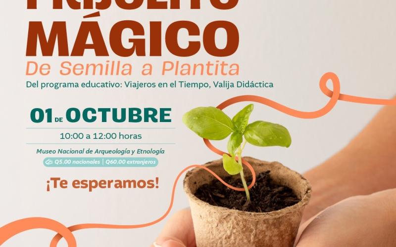 Niños descubrirán el crecimiento de las plantas en divertido taller