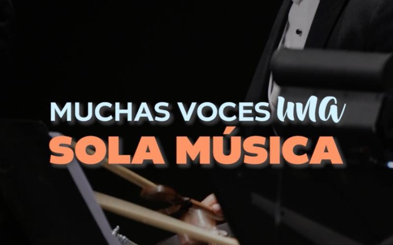Descubre el papel de cada instrumento en la orquesta sinfónica