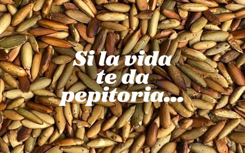 Los recados mayas llevan el sabor de Guatemala hacia la UNESCO