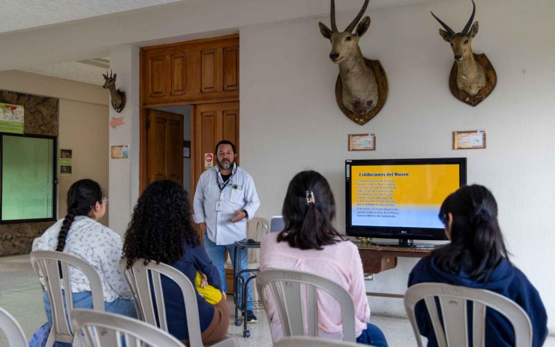 Museo Nacional de Historia Natural destaca la riqueza de la fauna endémica de Guatemala