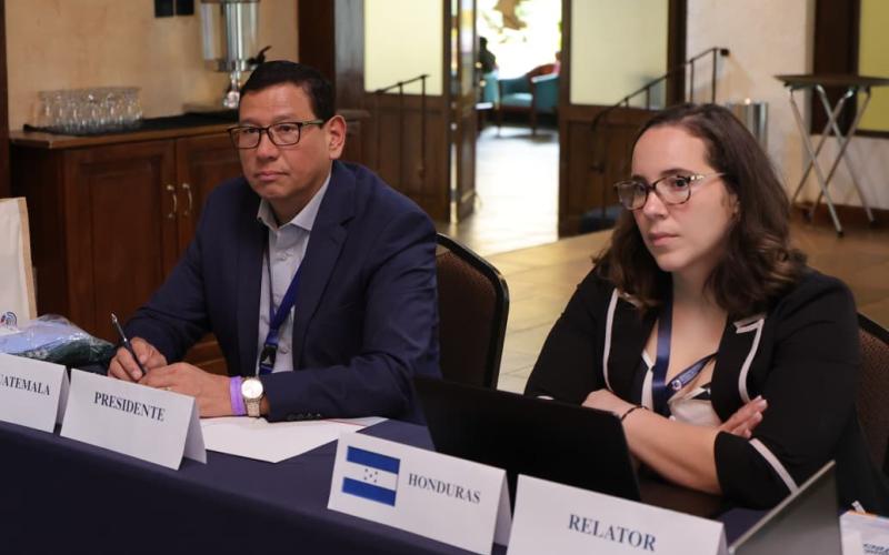 Mesas técnicas del OIRSA analizan medidas para prevenir y atender riesgos del sector agropecuario regional