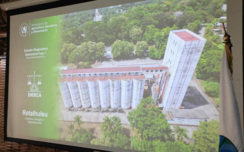 Analizan estado de silos nacionales para optimizar el resguardo de granos básicos