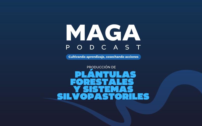 MAGA Podcast en YouTube | Plántulas forestales y sistemas silvopastoriles