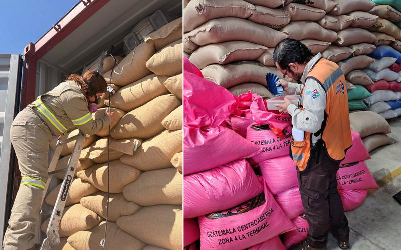 Establecen inspección basada en riesgo para importaciones agropecuarias