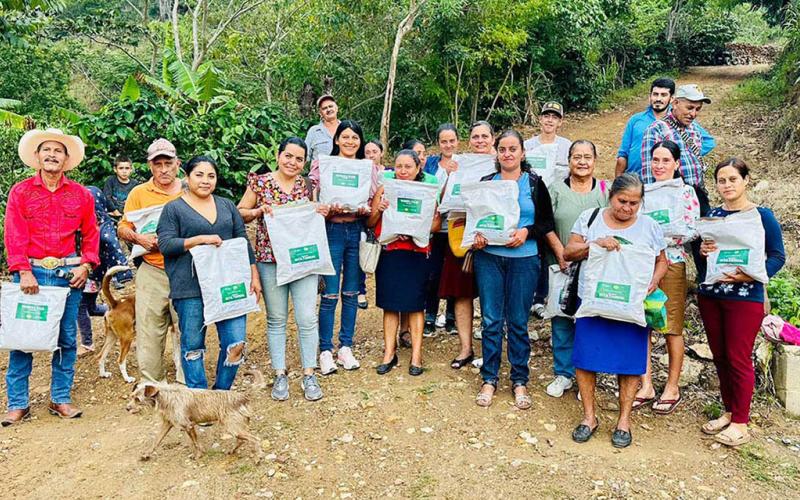 Establecen parcelas demostrativas de frijol biofortificado ICTA Tawal, en Santa Cruz El Chol