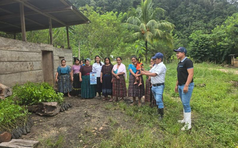Familias de San Luis fortalecen sistemas agroforestales