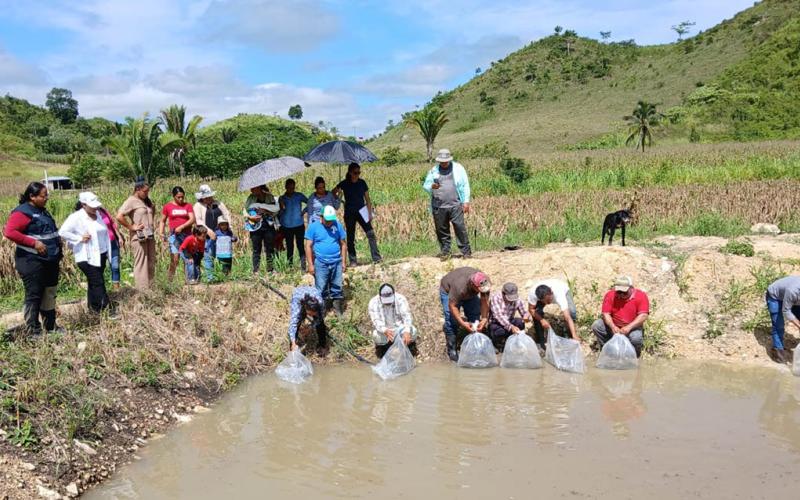Fortalecen producción acuícola  de productores de Las Cruces, Petén 