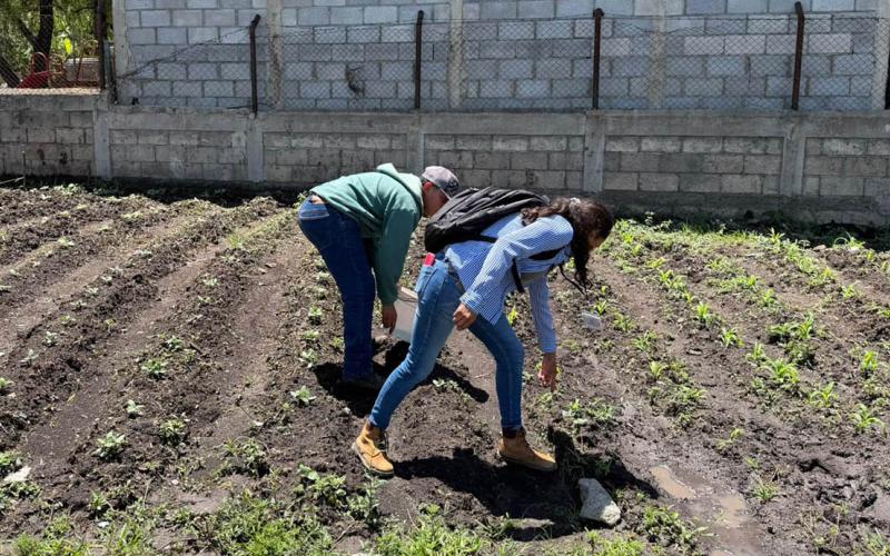 Frente frío traerá lluvias que aumentan la vulnerabilidad de cultivos 