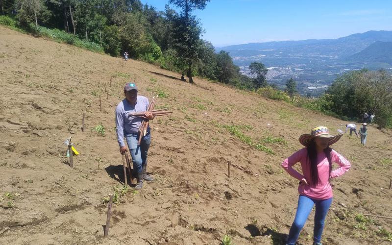Impulsan prácticas para conservar los suelos y aprovechar el agua de lluvia