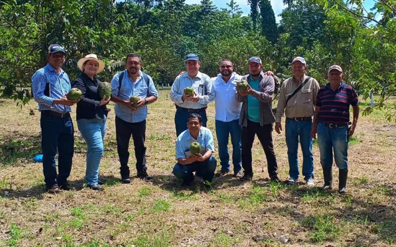 Intercambio de experiencias en manejo frutícola impulsa aprendizaje en Quetzaltenango