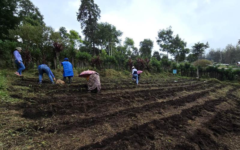 Lluvias podrían afectar cultivos por ello se monitorea 141 municipios