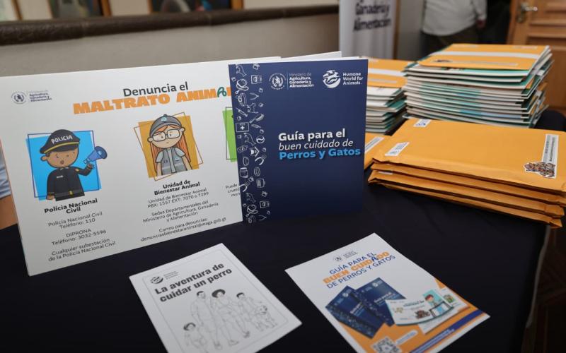 Presentan guía que promueve el cuidado responsable y el bienestar de perros y gatos