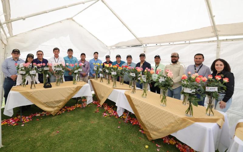 Producción de flores guatemaltecas destaca por buenas prácticas para la exportación
