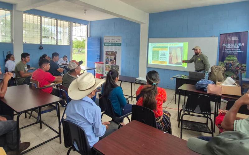 Productores de Poptún fortalecen la producción de maíz y frijol