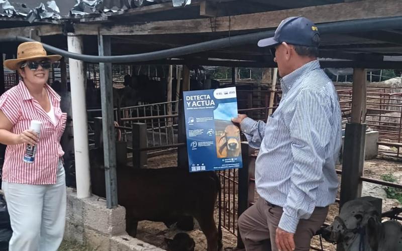 Refuerzan vigilancia zoosanitaria para el control de miasis en Zacapa