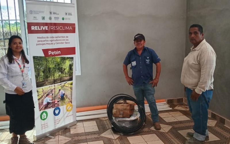 Sistemas agroforestales favorecen producción rural en San Luis, Petén