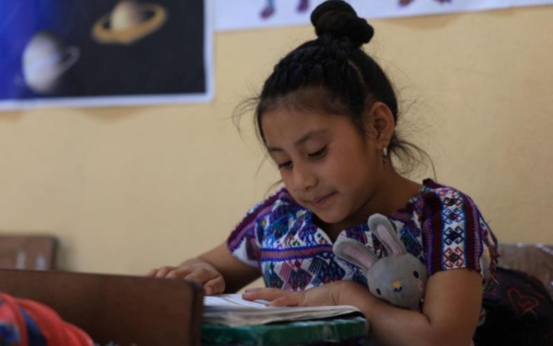 Mineduc crea carrera de Magisterio de Primaria Bilingüe Intercultural