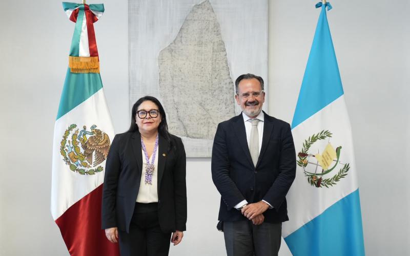 nota de prensa
