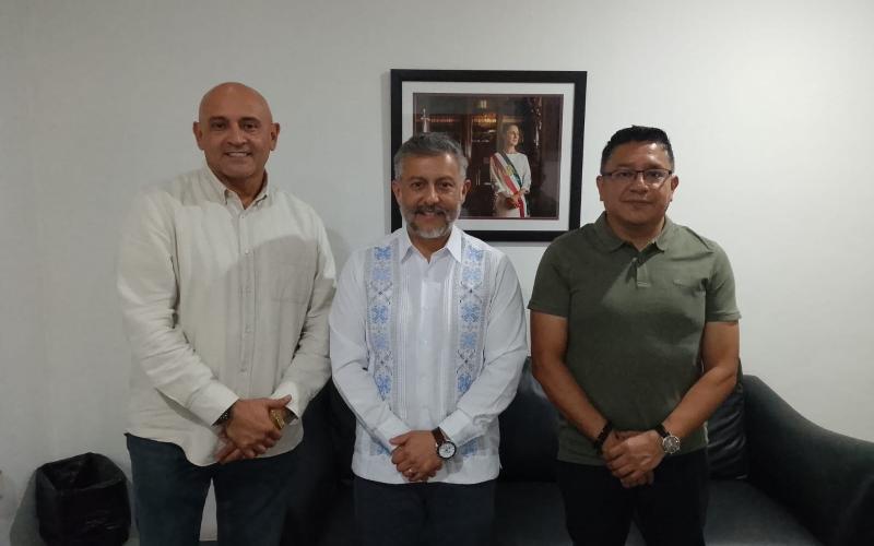 nota de prensa