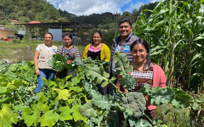 Estrategia Mano a Mano apoya producción de más de 50 mil familias rurales