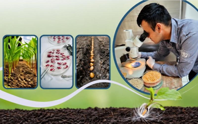 Servicios que brinda el Laboratorio Nacional de Análisis de Calidad de la Semilla