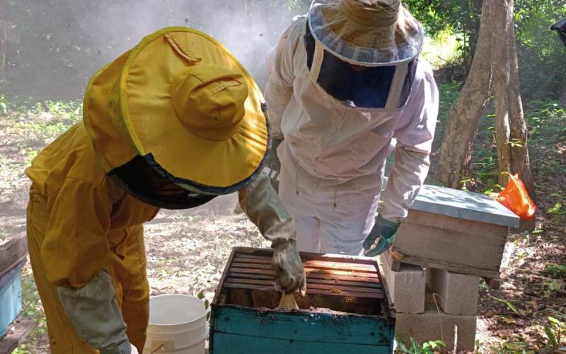 Productores de San Andrés fortalecen sus conocimientos en el manejo de apiarios